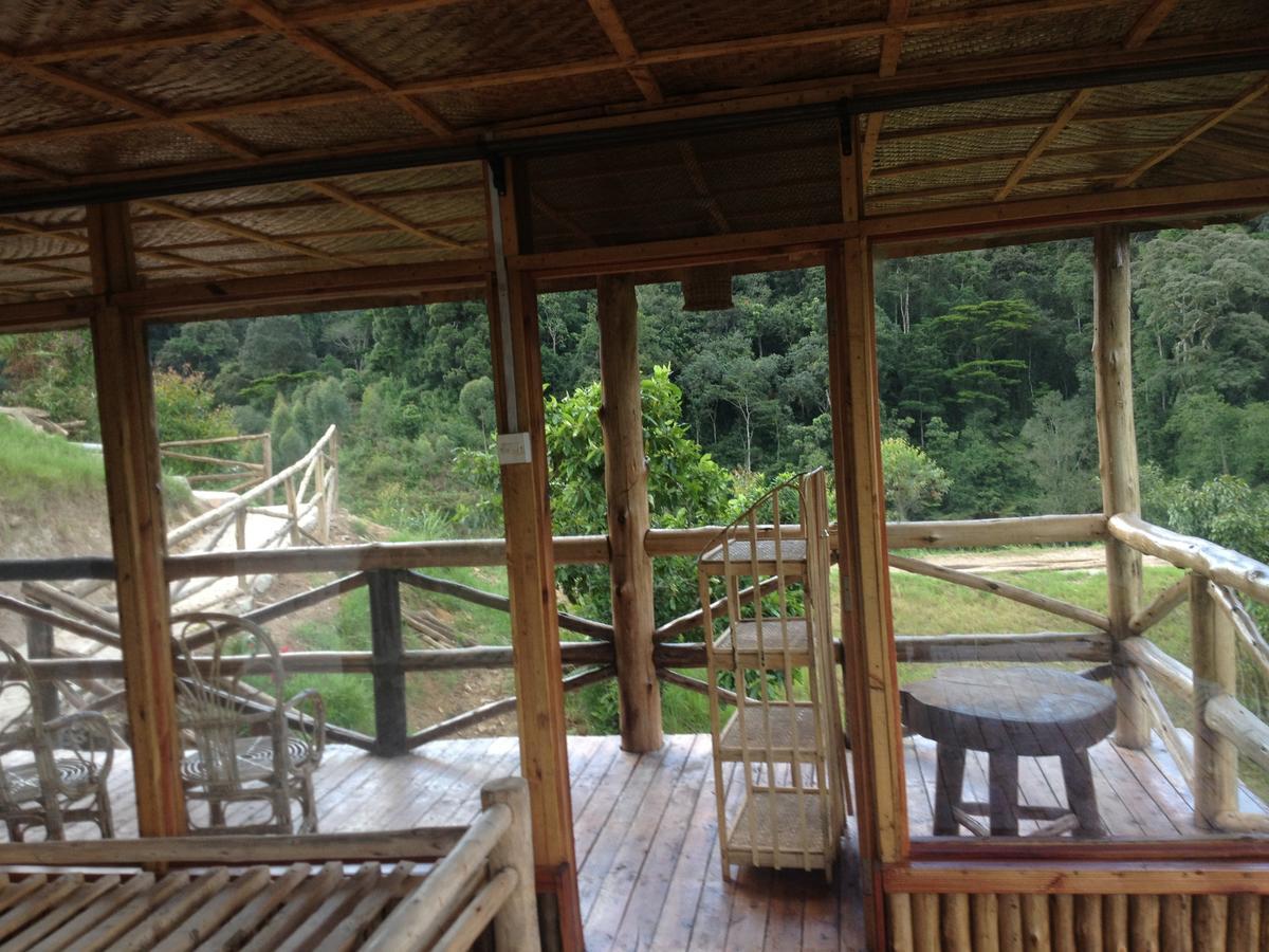 Rushaga Gorilla Lodge Bugambira Номер фото